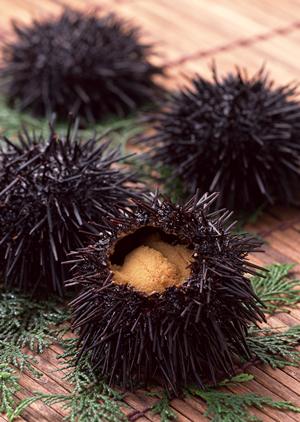 未経験からでも働ける銀座の高級クラブ